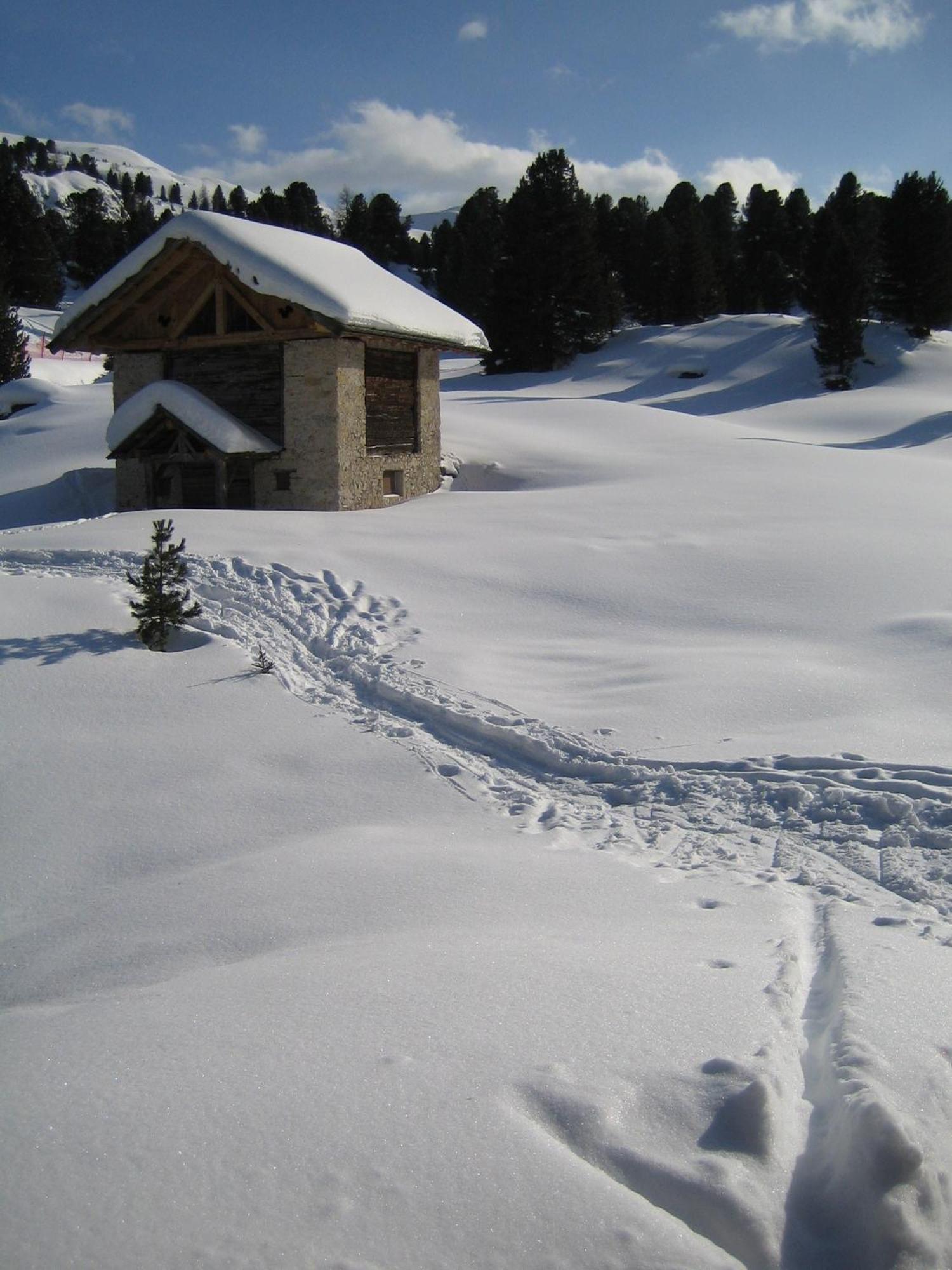 Hotel CHALET ELISABETH DOLOMITES ALPIN&CHARMe Wolkenstein in Gröden Exterior foto